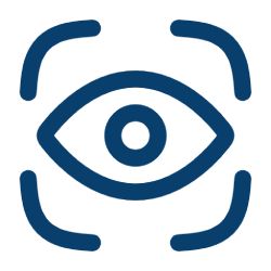 vision Vision